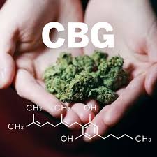 CBG