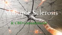 Olio di CBD canapa i nella cura di artriti e sclerosi multipla