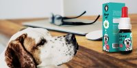 Canapa per animali - supporto per le difese naturali