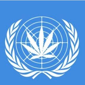 L'Organizzazione mondiale della sanità consiglia di chiarire lo stato del CBD e della canapa L'Organizzazione mondiale della sanità consiglia di chiarire lo stato del CBD e della canapa