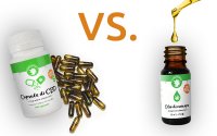 Capsule di CBD contro Olio di canapa con CBD Capsule Di Cbd Contro Olio Di Canapa Con Cbd