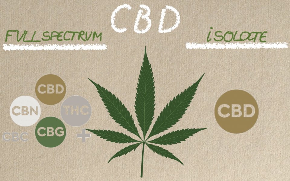 Olio di canapa con CBD: a Spettro Completo vs. Isolato Olio di canapa con CBD: a Spettro Completo vs. Isolato