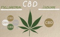 Olio di canapa con CBD: a Spettro Completo vs. Isolato