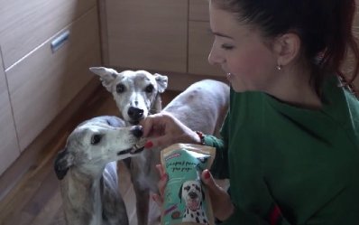 Servizio televisivo - canapa per animali Servizio televisivo - canapa per animali