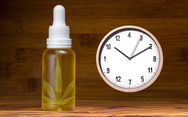 Quanto durano gli effetti del CBD? Quanto durano gli effetti del CBD?