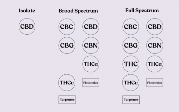 Olio di CBD a spettro completo vs. ampio spettro vs. isolato
