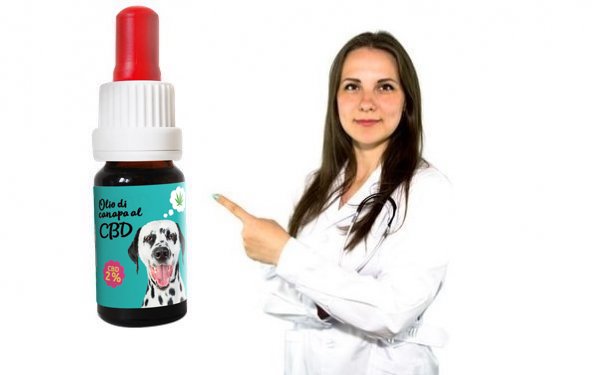 Esperienza di una veterinaria con il CBD e la canapa nel suo lavoro