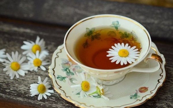 Tè alla canapa con erbe tradizionali - Novità nella nostra offerta Tè alla canapa con erbe tradizionali - Novità nella nostra offerta