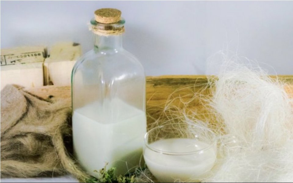 Come preparare il latte di canapa in modo semplice e veloce?