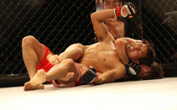 Alle MMA piace il CBD - perché? Alle MMA piace il CBD - perché?