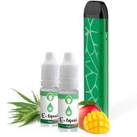 Kit per svapare CBD, canapa, guida per vaporizzare, e-liquid, CBD, inalazione