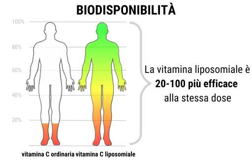 Vitamina C Liposomale